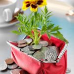 Six Ways to Save Money on Your Garden