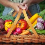 Organics for the Win: Why I Still Buy Organic Produce